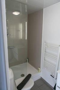 uma casa de banho com um WC branco e um chuveiro em Appart Hotel - Calme et Cosy em Montereau-faut-Yonne