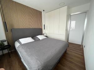 Voodi või voodid majutusasutuse Luxury Flat in Brno toas