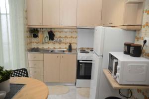 A kitchen or kitchenette at Hara's Apartment