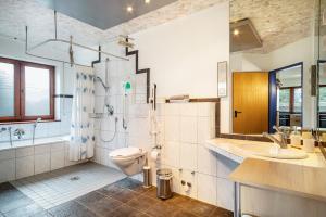 a bathroom with a toilet and a shower and a sink at Sonnenstube in Langenargen