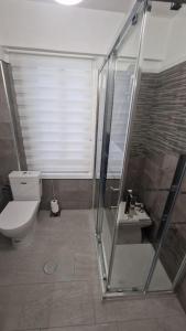 ein Bad mit einer Dusche, einem WC und einem Waschbecken in der Unterkunft VibesCoruña- San Rosendo 25 in A Coruña