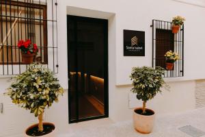 穆尔西亚Apartamentos Santa Isabel的相册照片