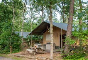 een huis met een tent in het bos bij Glamping Nunspeet Veluwe in Nunspeet