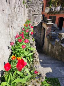 Fotografie z fotogalerie ubytování Casa Carlo Bellagio v destinaci Bellagio