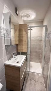 ein Bad mit einem Waschbecken und einer Dusche in der Unterkunft le cabanon in Roquebrune-Cap-Martin