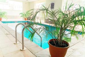 uma planta em vasos sentada ao lado de uma piscina em Rumens Apartment em Lagos
