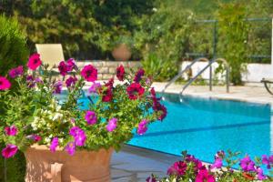 The swimming pool at or close to Avlaki Beach House,stylish villa in Kassiopi