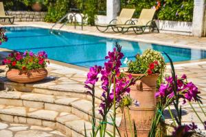 The swimming pool at or close to Avlaki Beach House,stylish villa in Kassiopi