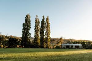 uma casa no meio de um campo com árvores em Stonehaven River Lodge em Stilbaai