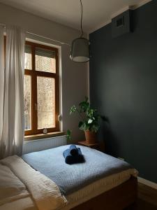 een slaapkamer met een bed met een hoed erop bij Kraków Piano Apartment in Krakau