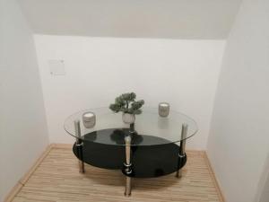 a glass table with a plant on it in a room at Appartement bei Schloß Ulmerfeld in Ulmerfeld