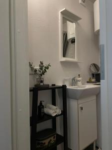 a bathroom with a sink and a mirror at Linkuva Manor Apartment in Kaunas