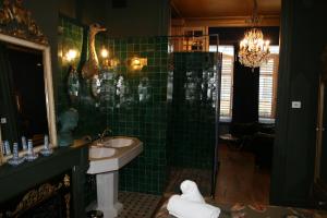 A bathroom at Sint Andries Suites