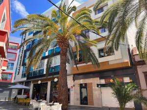 a palm tree in front of a building at HJS Guest House - The majestic Loft in Las Palmas de Gran Canaria