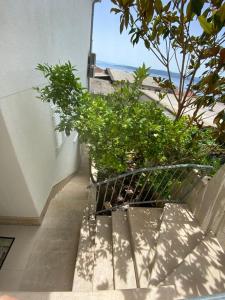 A balcony or terrace at Apartments Lucija