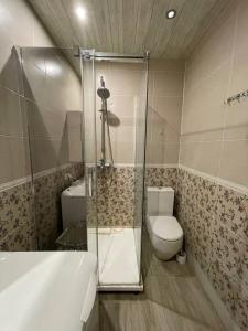 a bathroom with a shower and a toilet and a sink at Guest house, Jūrmala in Jūrmala +9 photos