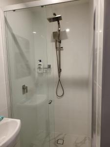 温莎T&V Suites的水槽旁边有玻璃门的淋浴间