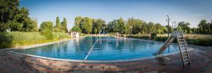 una piscina con una scala in un parco di Ferienhaus Elbharmonie a Dresda
