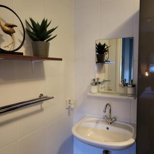 La salle de bains est pourvue d'un lavabo, d'un miroir et de plantes. dans l'établissement In de Boerderij, à Arum