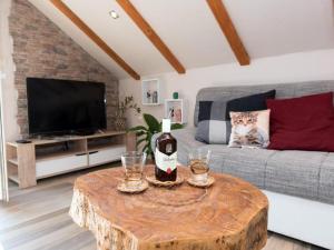 TV a/nebo společenská místnost v ubytování Apartman Bella Vista