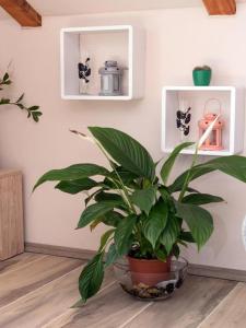 Fotografie z fotogalerie ubytování Apartman Bella Vista v destinaci Kastav