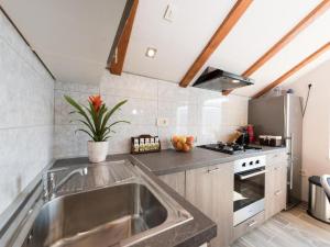 Kuchyň nebo kuchyňský kout v ubytování Apartman Bella Vista