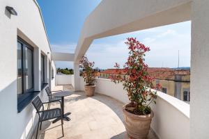 a balcony with two chairs and a plant at Miramare Hotel in Zadar