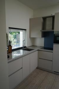 Billede fra billedgalleriet på Texel Boogaloo i De Koog