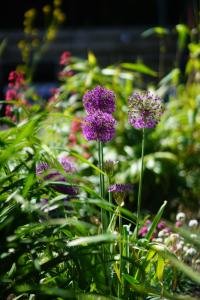 Billede fra billedgalleriet på Texel Boogaloo i De Koog