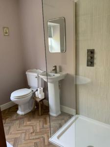 a bathroom with a toilet and a sink and a shower at A beautiful 1 bedroom home. in Matlock