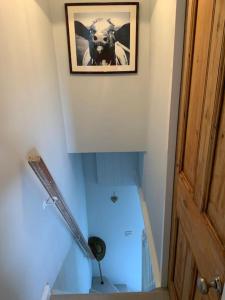 een trap met een foto van een koe op de muur bij A beautiful 1 bedroom home. in Matlock