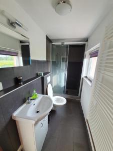 a bathroom with a white sink and a toilet at Apartmán v blízkosti města Štětí in Štětí