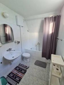 La salle de bains est pourvue d'un lavabo, de toilettes et d'une douche. dans l'établissement Green House with Lake View, à Perućac