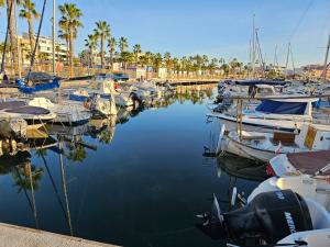 Un tas de bateaux sont amarrés dans un port de plaisance dans l'établissement Pueblo 3- nr 97 San Pedro Del Pinatar, à San Pedro del Pinatar