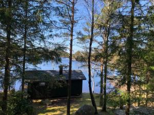 Loodusmaastik puhkemaja lähedal