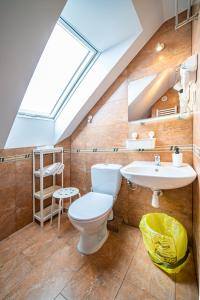 uma casa de banho com um WC, um lavatório e uma clarabóia em Pod Szczęśliwą Siódemka em Kuźnica