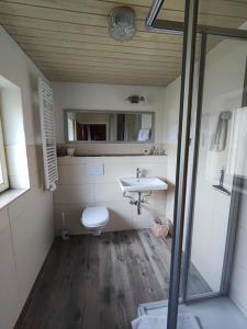 a bathroom with a toilet and a sink at Haus Alpina in Berwang