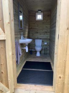 a bathroom with a toilet and a sink at Rivers View Holidays in Westbury on Severn