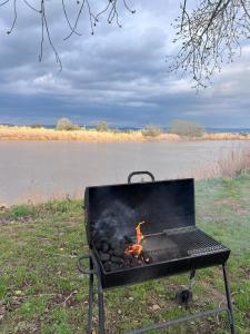 a grill sitting in the grass next to a body of water at Rivers View Holidays in Westbury on Severn