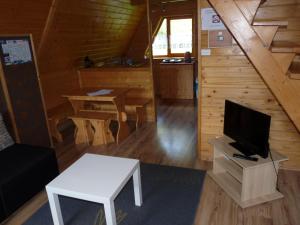 a living room with a tv in a cabin at DOMKI CZYRNA SZCZYRK in Szczyrk