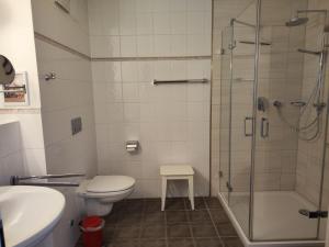 a bathroom with a shower and a toilet and a sink at Prinz Heinrich App3 in Sassnitz