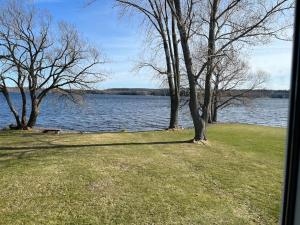 deux arbres dans un champ à côté d’une masse d’eau dans l'établissement 33, à Deseronto