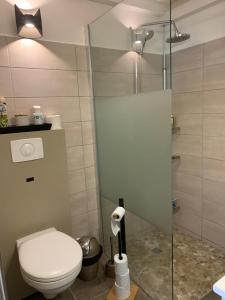 La salle de bains est pourvue de toilettes et d'une douche en verre. dans l'établissement Studioloc'Martinique, à Les Trois-Îlets