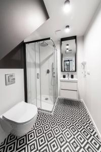 a bathroom with a shower and a toilet and a sink at Kadyny Apartments 37B in Kadyny