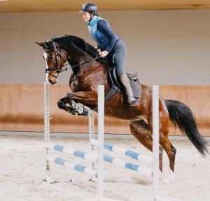 Una donna che cavalca un cavallo che salta su un ostacolo di Walliserhof a Brand