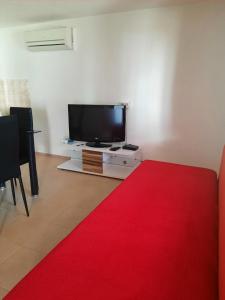 a living room with a red carpet and a tv at Apartment Anić in Šmrika