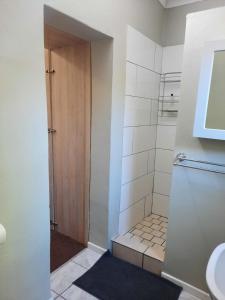 a bathroom with a shower with a toilet and a door at Little Milner Cottage in Queenstown