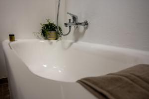 ハニア・タウンにあるCasa Bollani - Old Town Chania Houseの白いバスルームの洗面台(蛇口、植物付) +16枚の写真