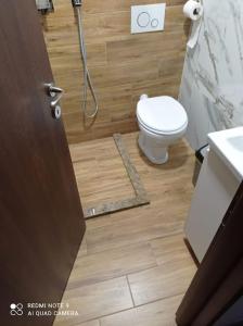 een badkamer met een toilet, een wastafel en een douche bij Apartament Cristina in Borşa
