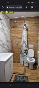 een badkamer met een toilet en een douchegordijn bij Apartament Cristina in Borşa